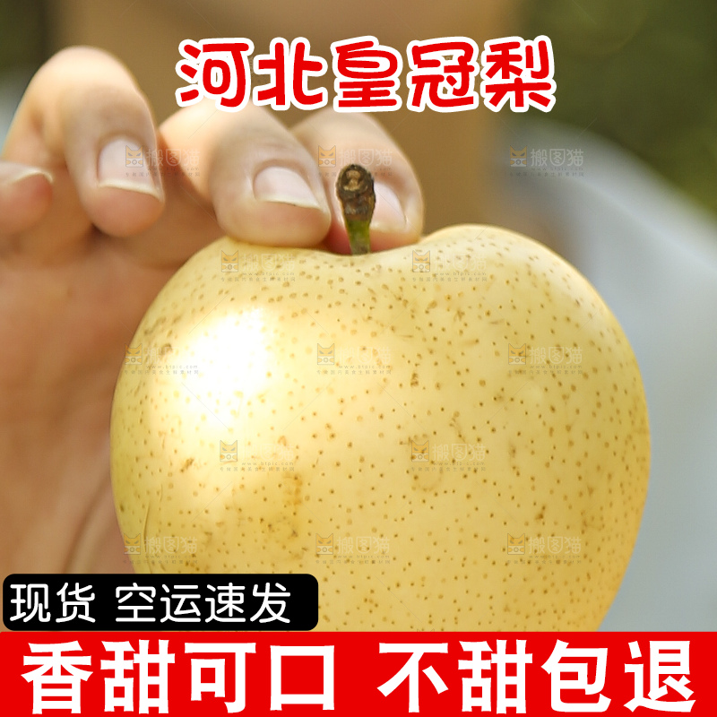 手里拿着新鲜皇冠梨