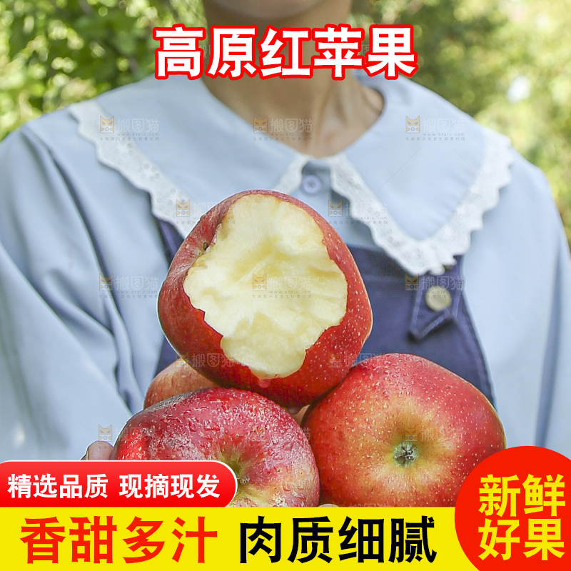 手里拿着高原红苹果