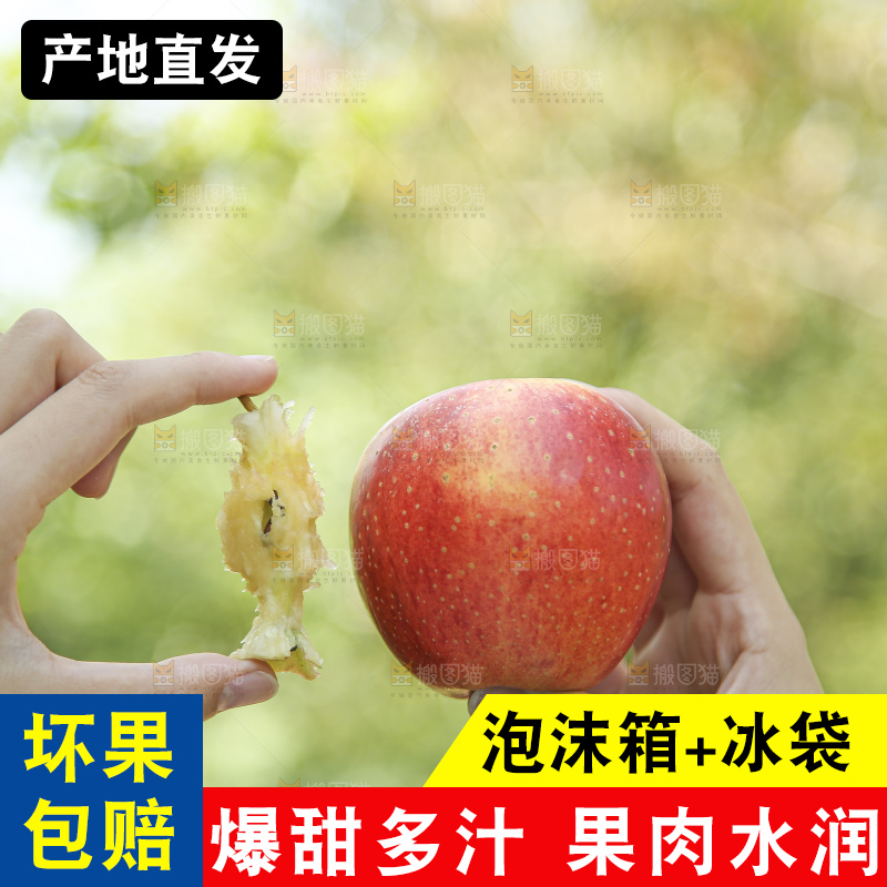 手里拿着高原红苹果