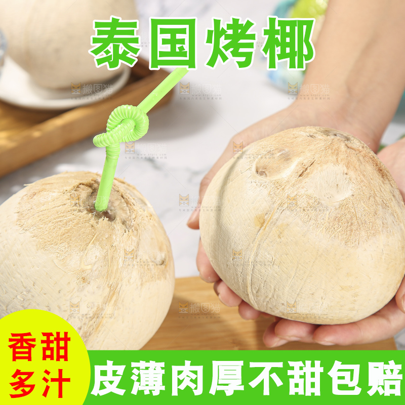 浅底上的泰国进口烤椰