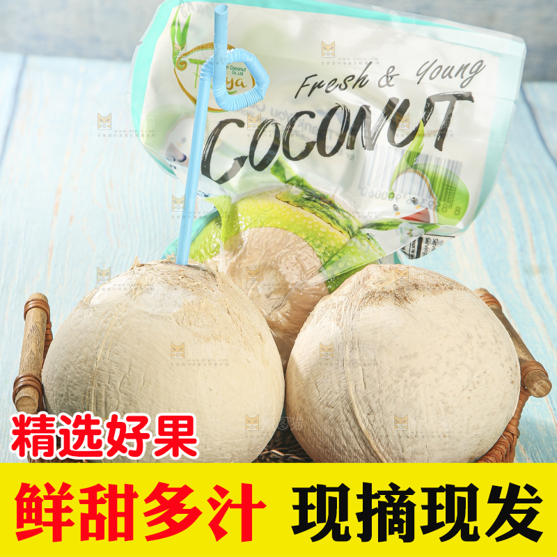 浅底上的泰国进口烤椰