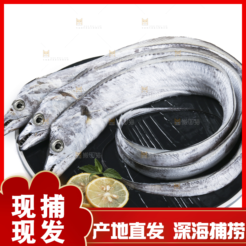 白底上的带鱼