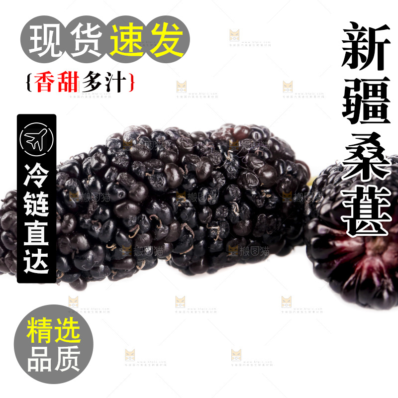 白底上的桑葚