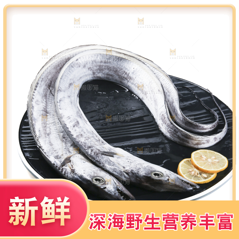 白底上的带鱼
