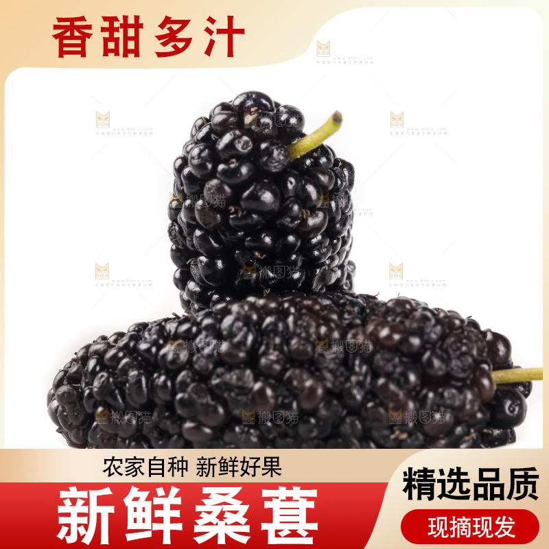 白底上的桑葚