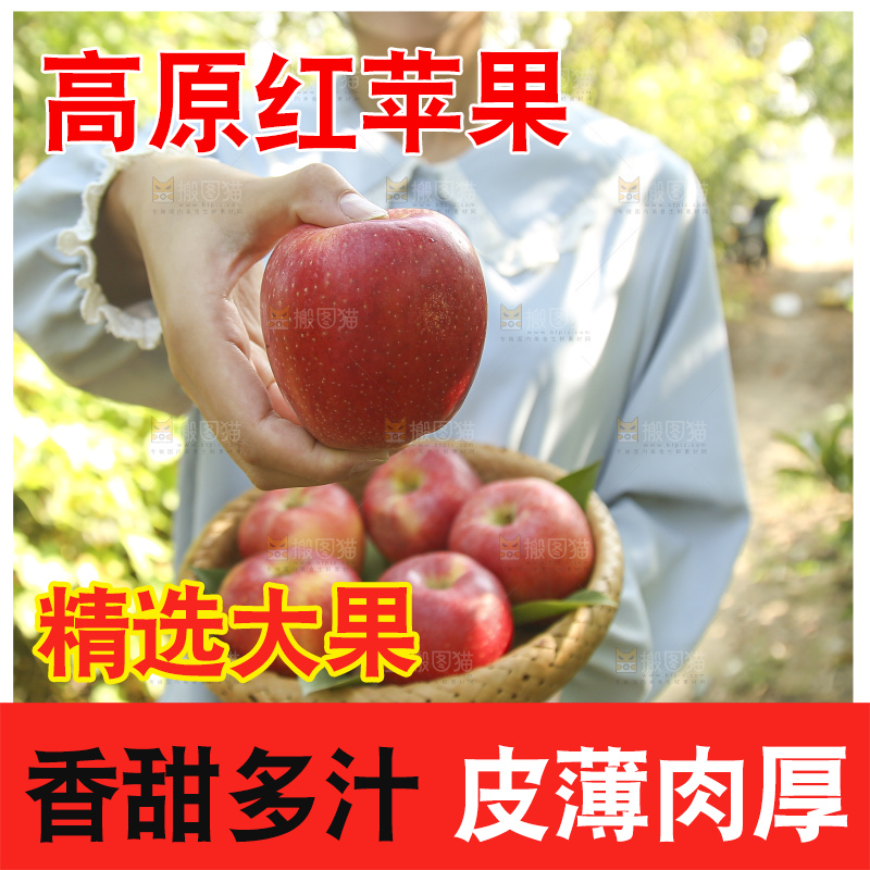 手里拿着高原红苹果