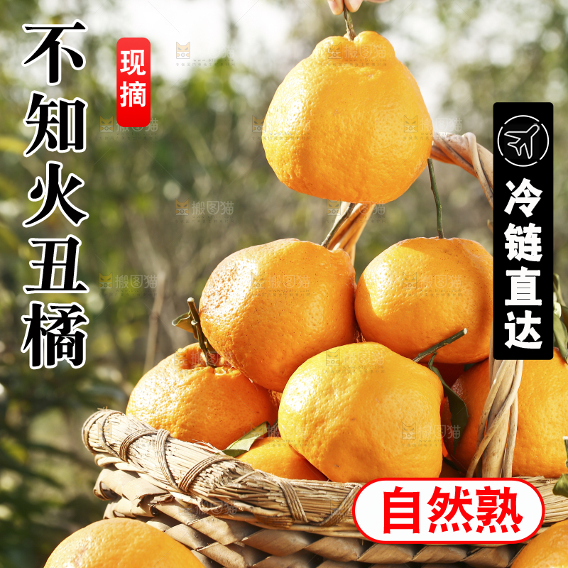 手里拿着丑橘
