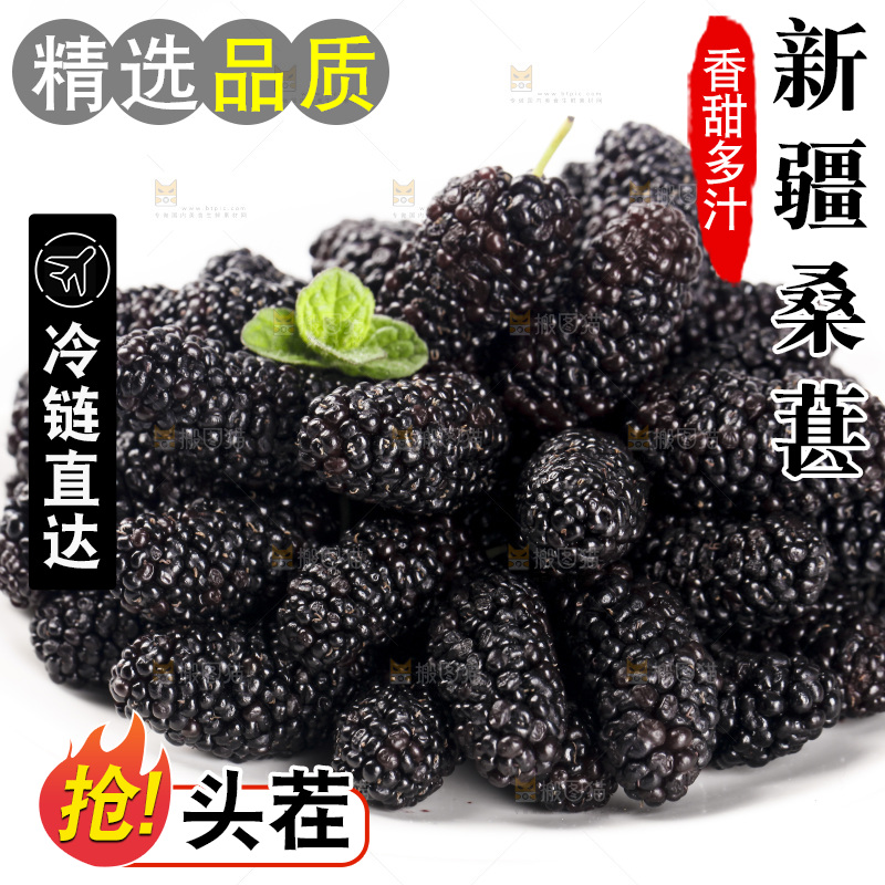 白底上的桑葚