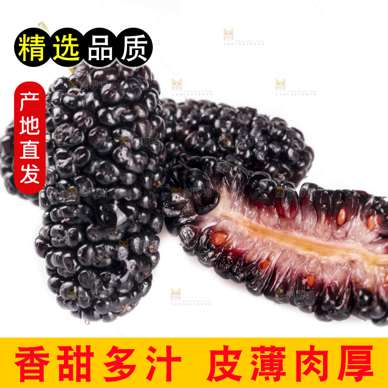 白底上的桑葚