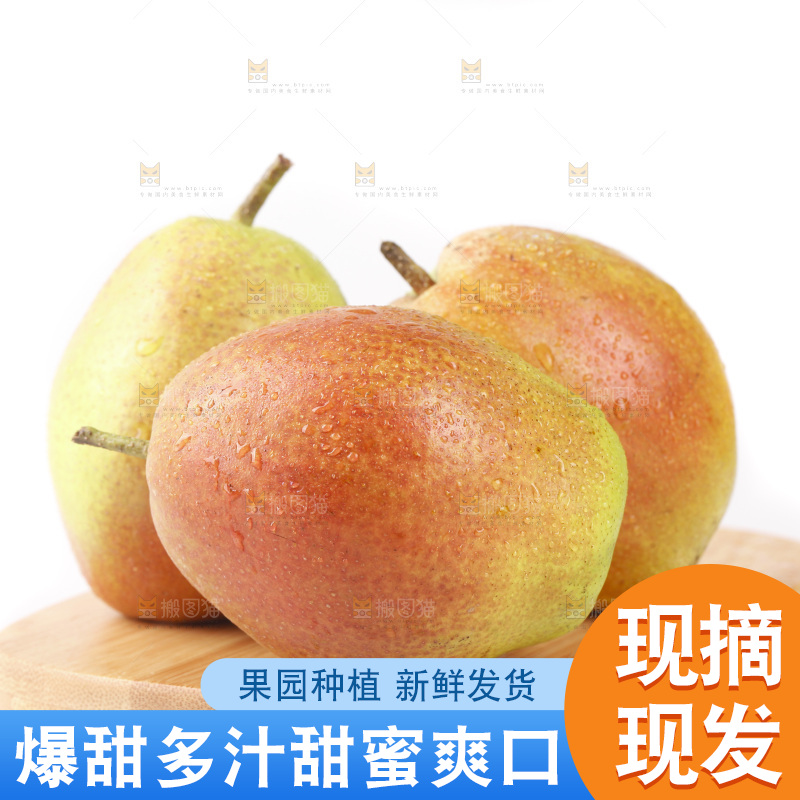 白底上的红香酥梨