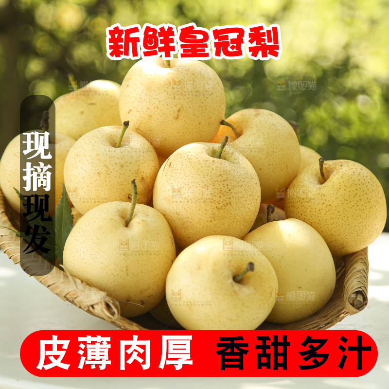 手里拿着新鲜皇冠梨
