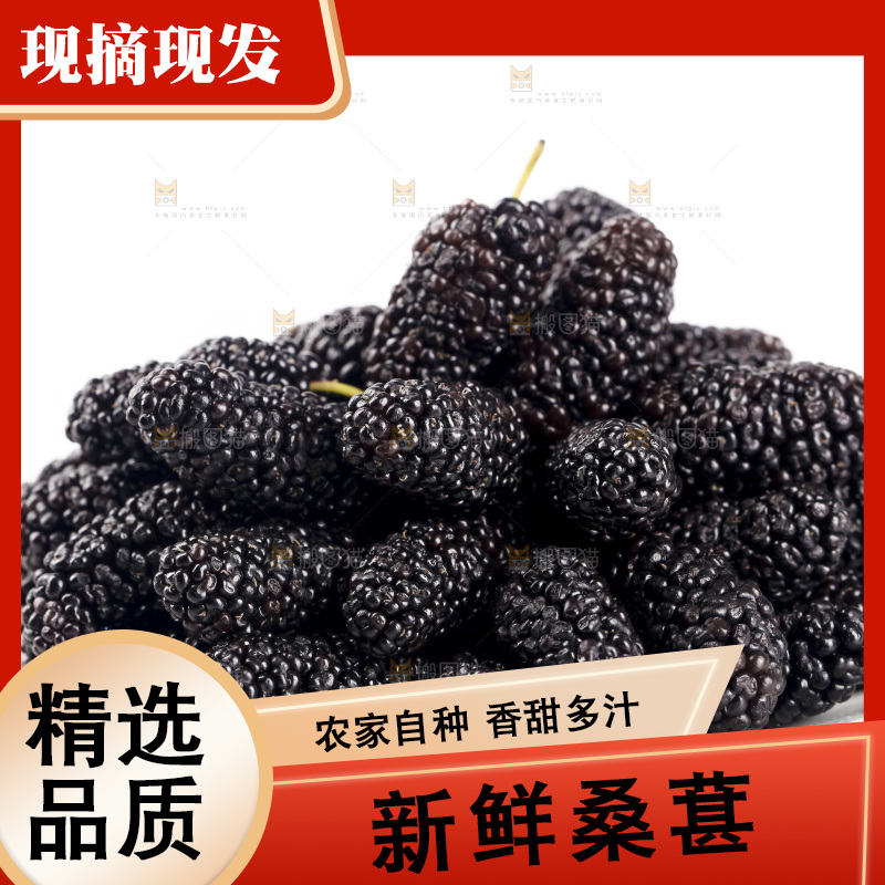 白底上的桑葚
