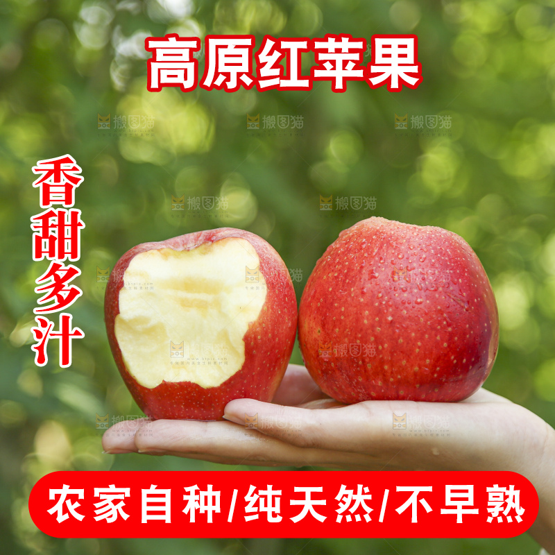 手里拿着高原红苹果
