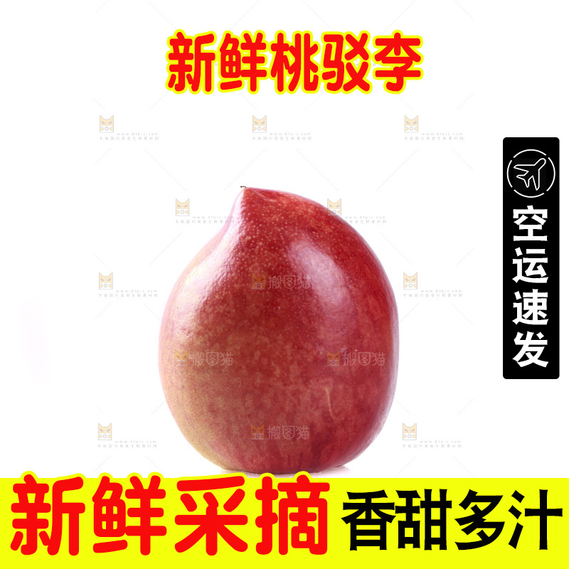 白底上的桃驳李