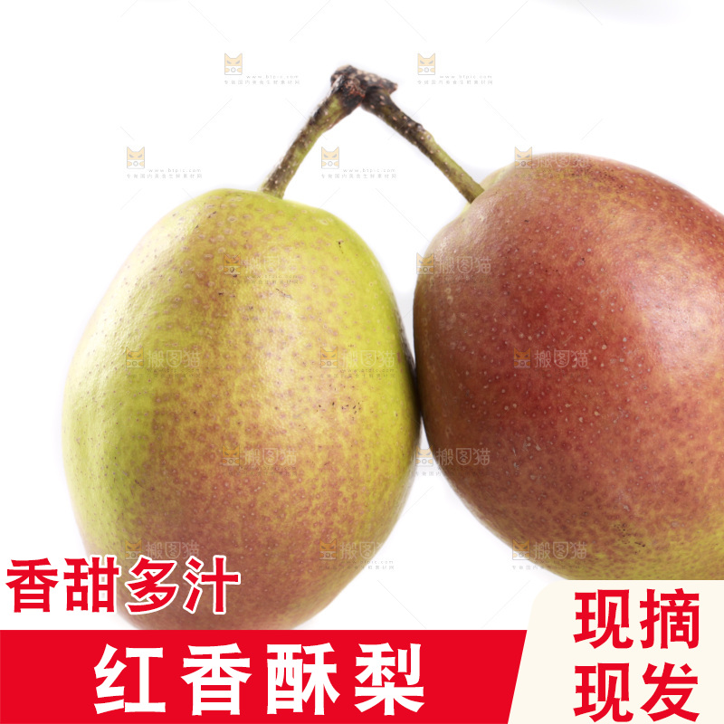 白底上的红香酥梨