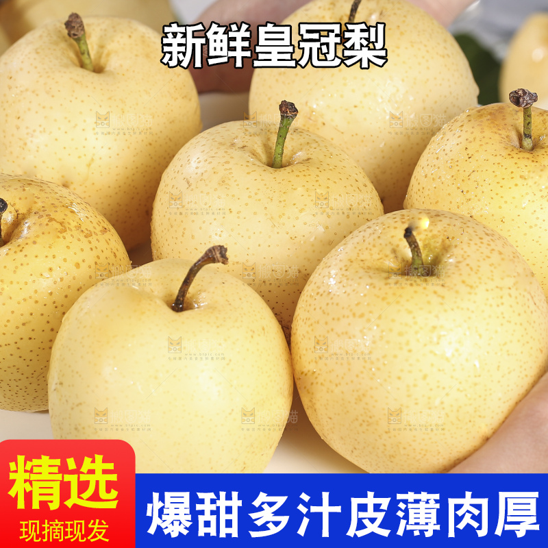 浅底上的皇冠梨