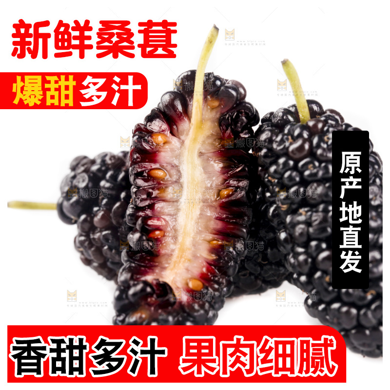 白底上的桑葚