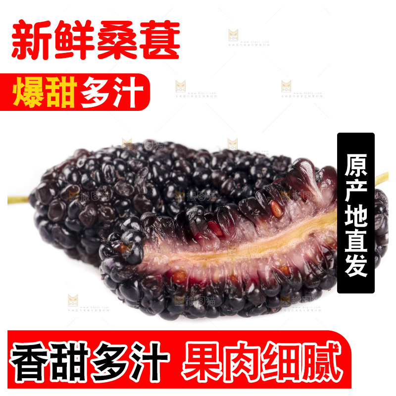 白底上的桑葚