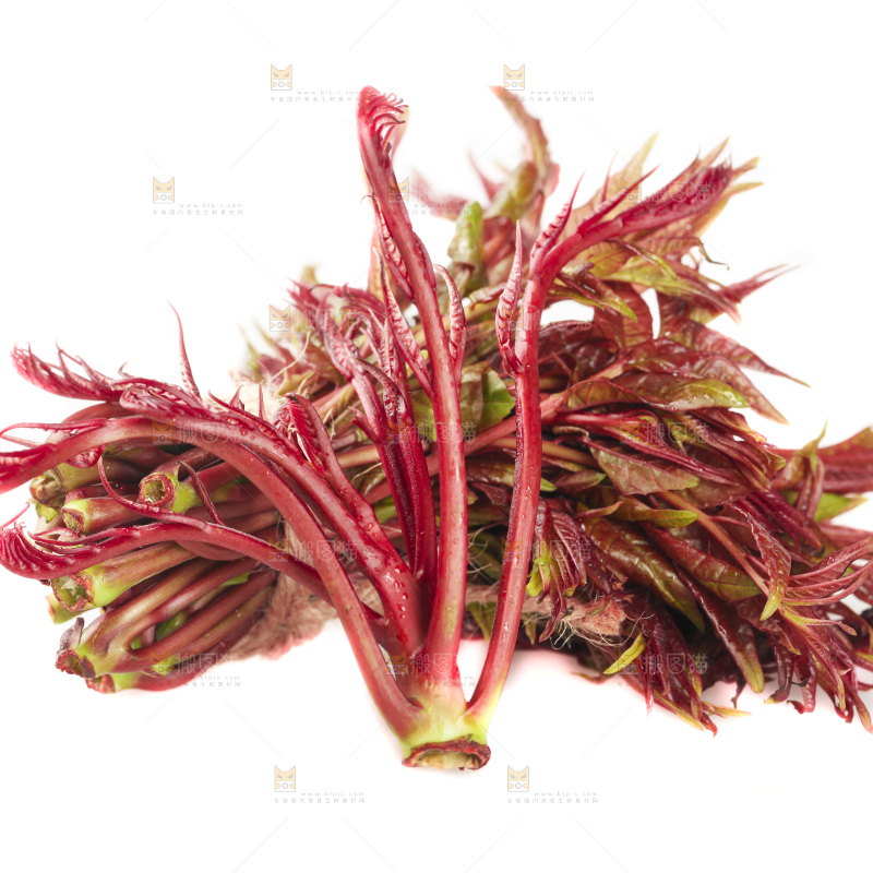 白底上放着红芽香椿