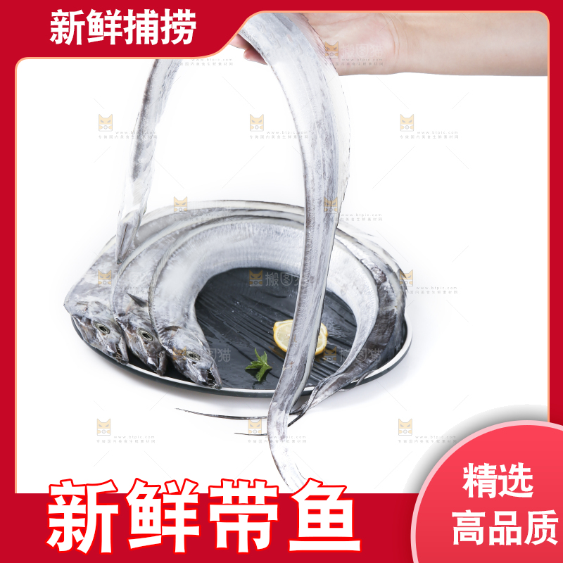 白底上的带鱼