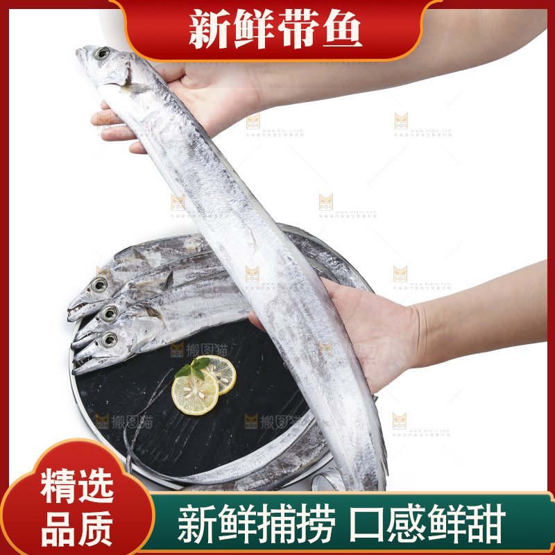 白底上的带鱼
