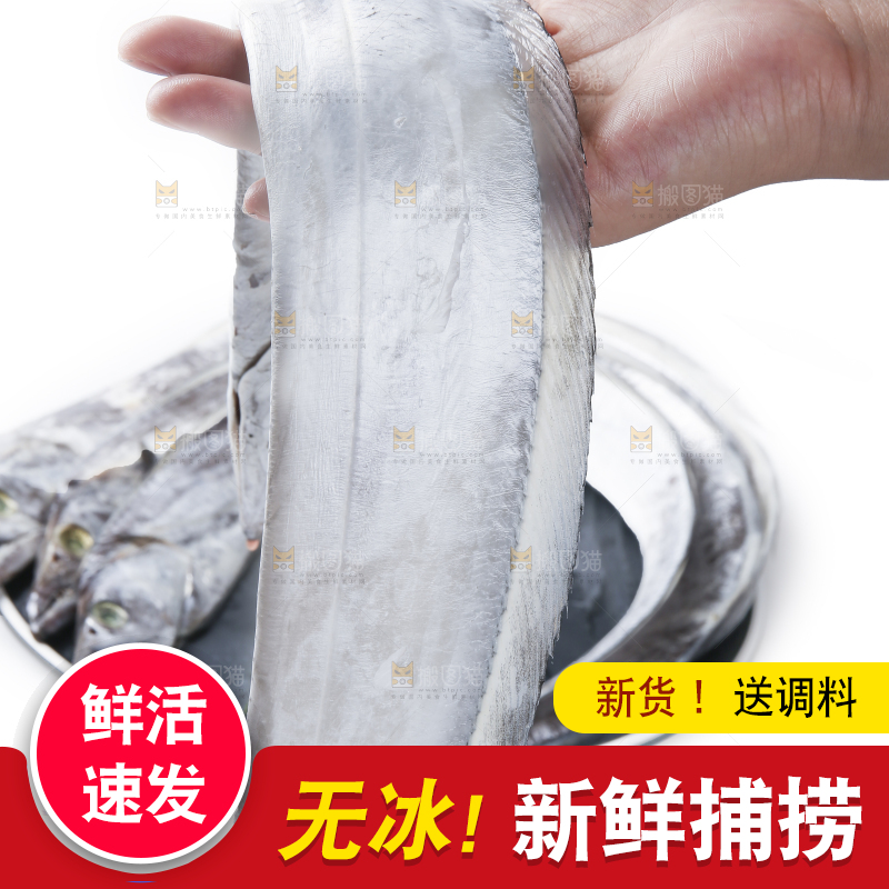 白底上的带鱼