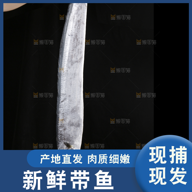 深底新鲜带鱼