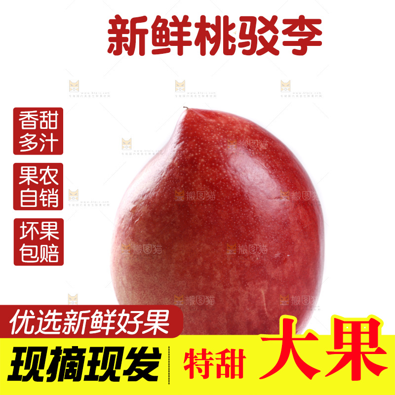 白底上的桃驳李