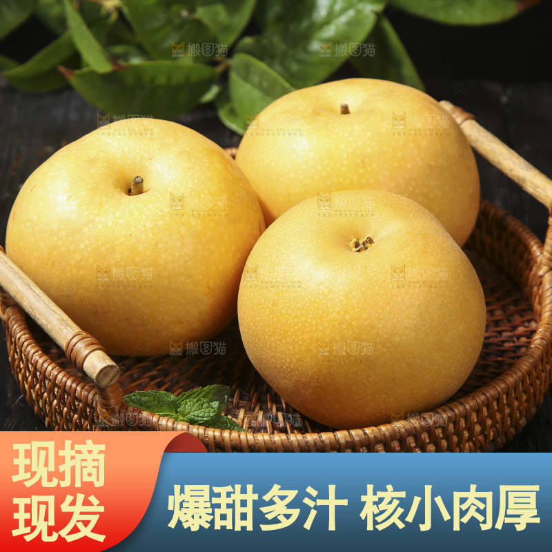 深底上放着的秋月梨