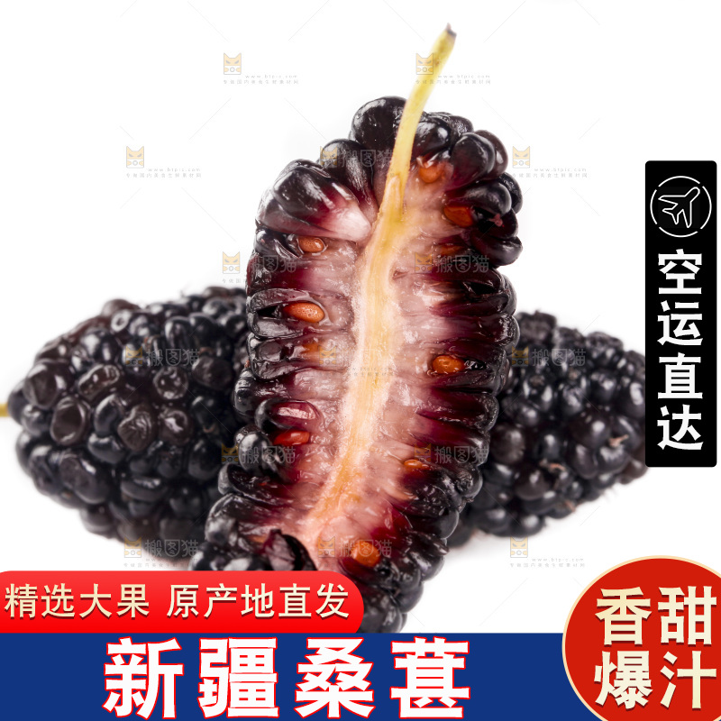 白底上的桑葚