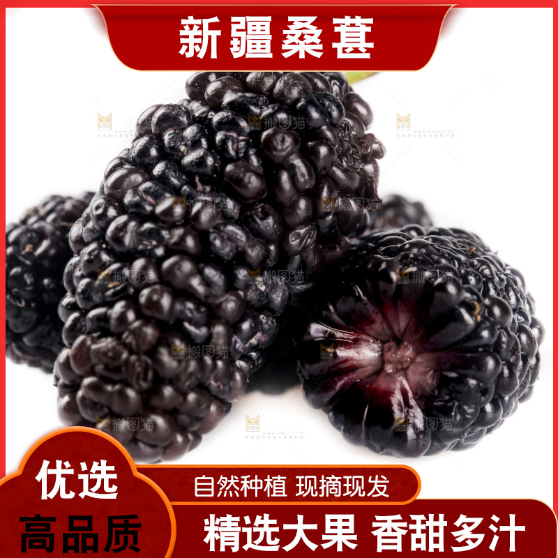 白底上的桑葚