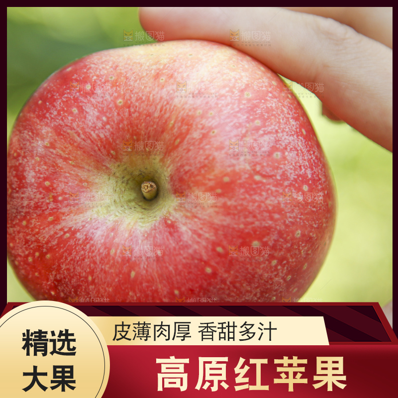 手里拿着高原红苹果
