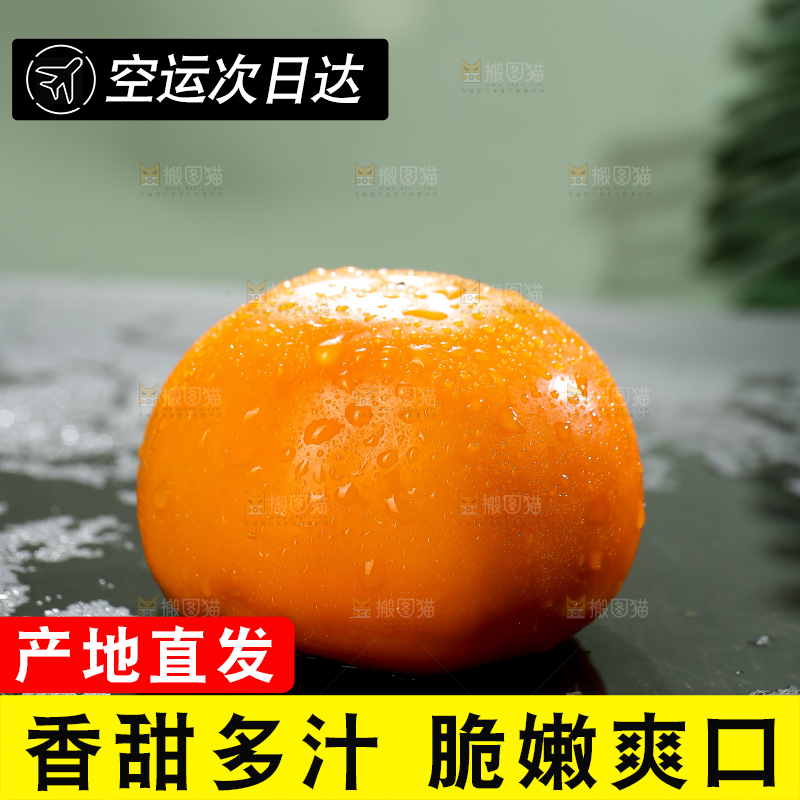 深底上的巧克力脆柿
