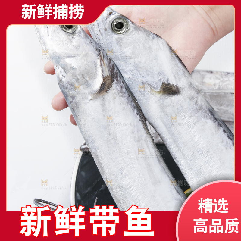 白底上的带鱼