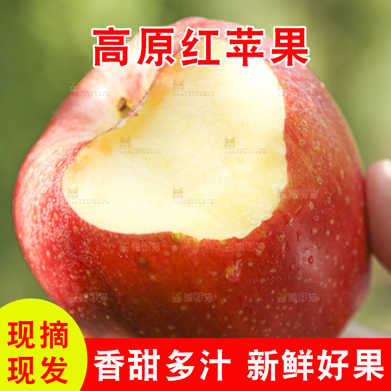 手里拿着高原红苹果