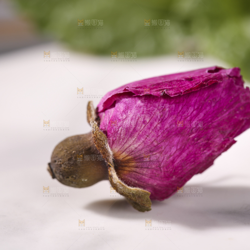 浅底上的玫瑰花干