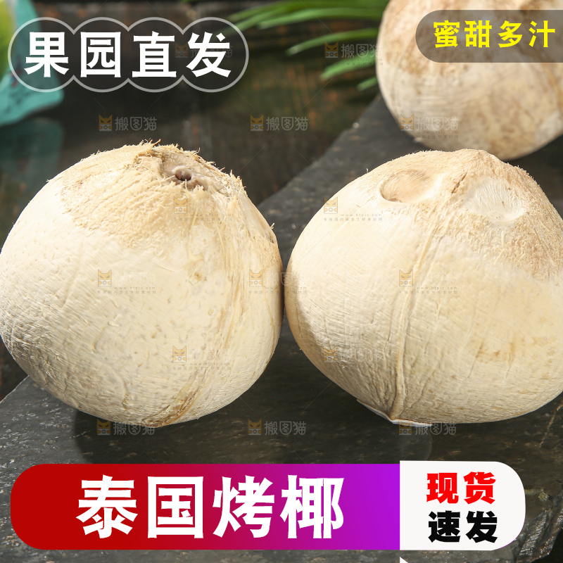 深底上的泰国进口烤椰