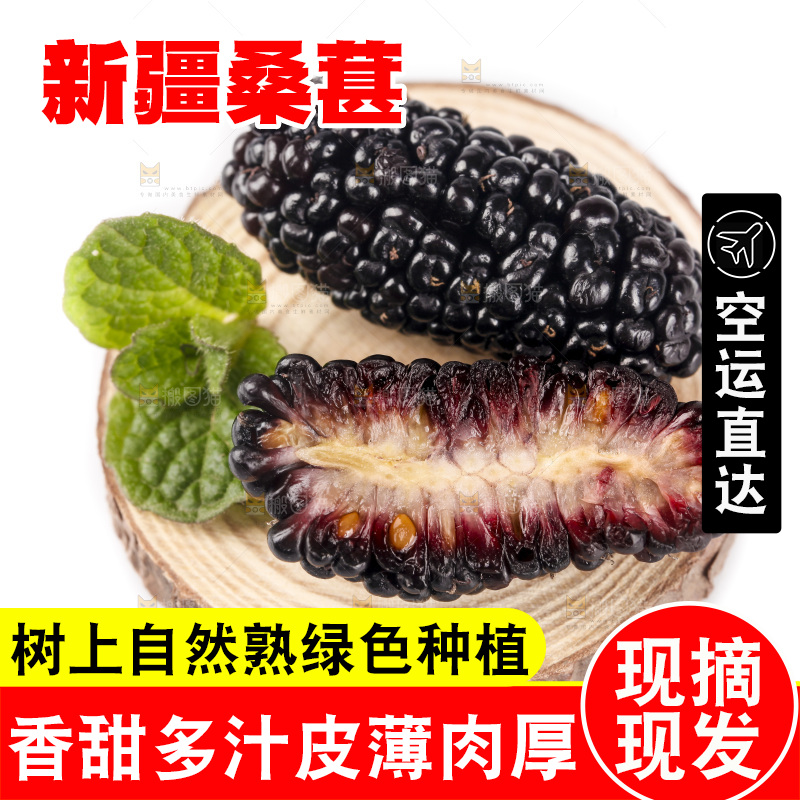 白底上的桑葚