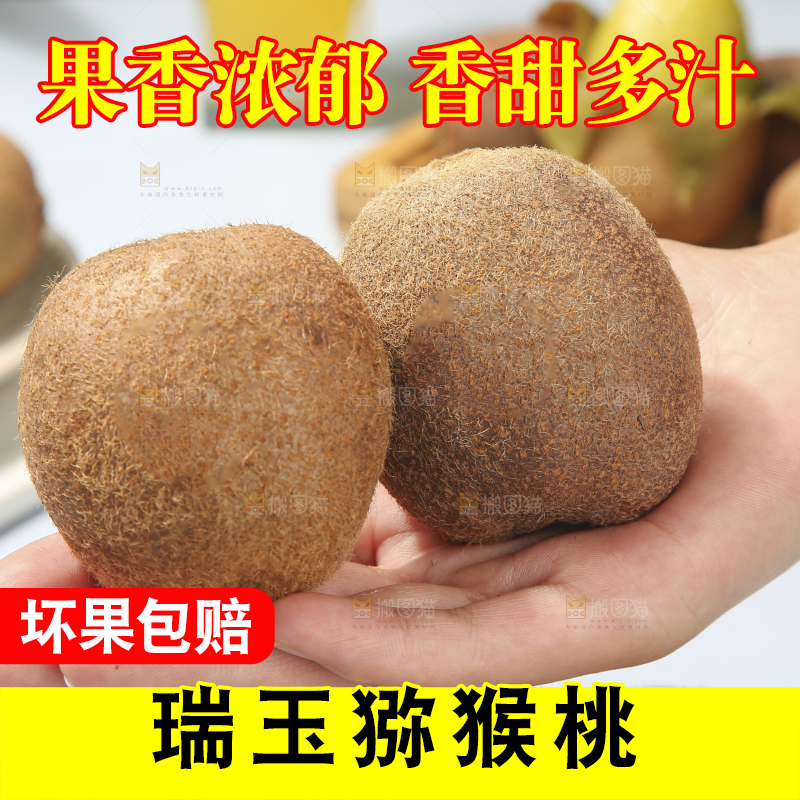 浅底上的瑞玉猕猴桃