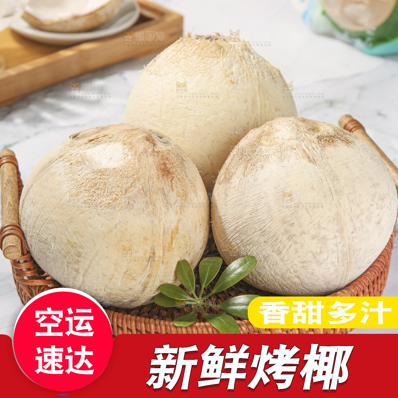 浅底上的泰国进口烤椰