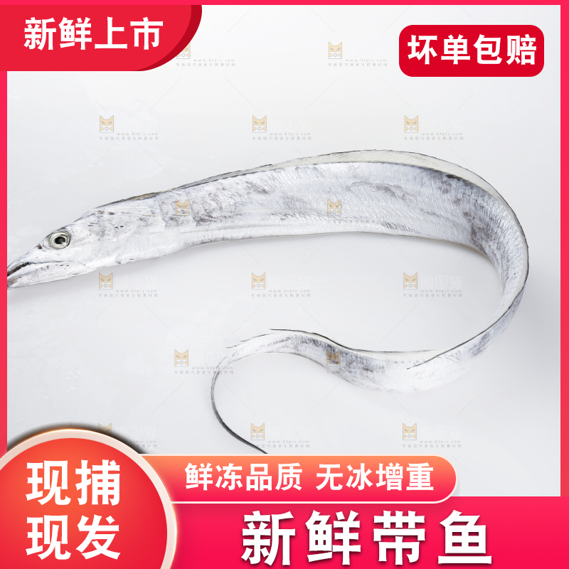 白底上的带鱼