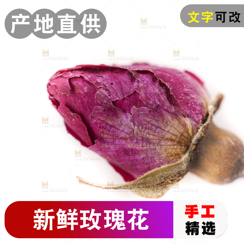 白底上的玫瑰花干