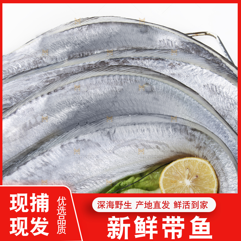 白底上的带鱼