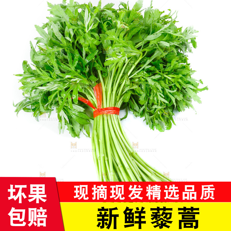 白底上放着藜蒿
