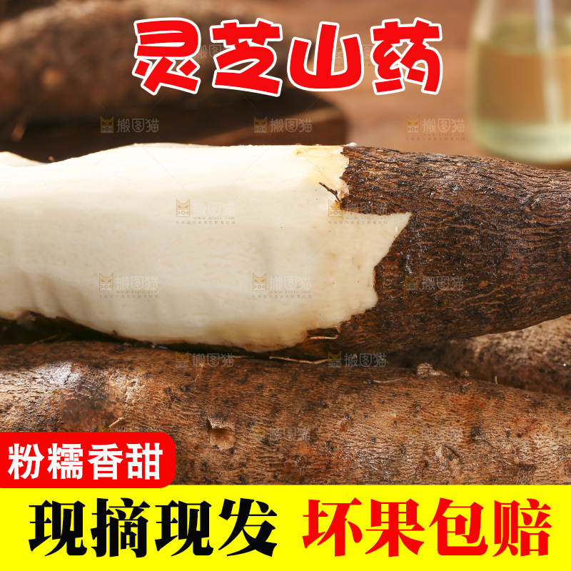 深底上放着灵芝山药