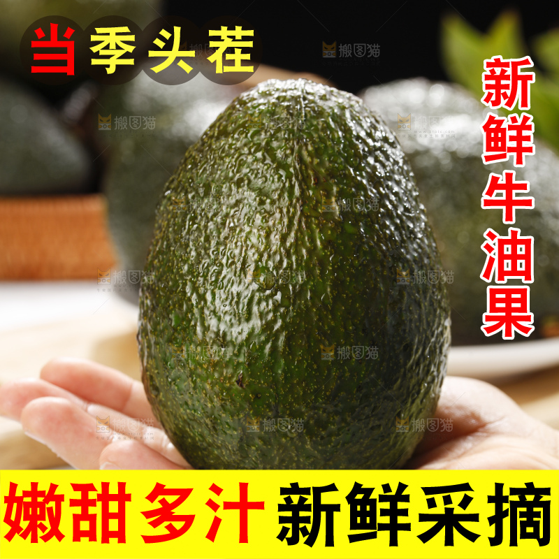浅底上的牛油果