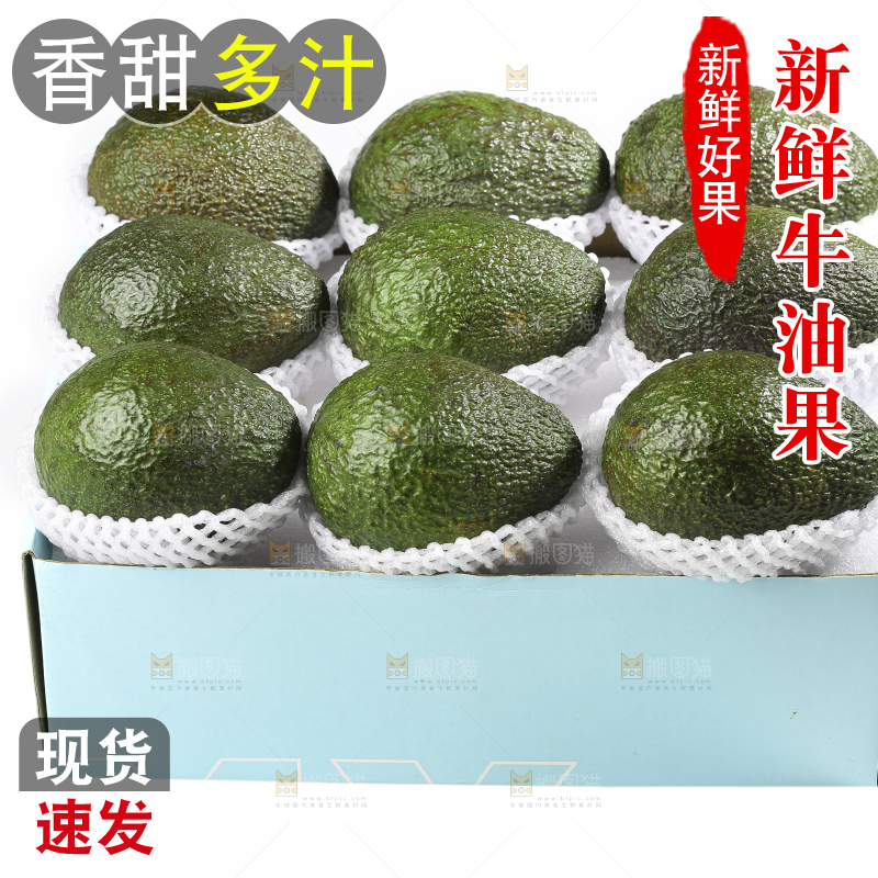 白底上的牛油果