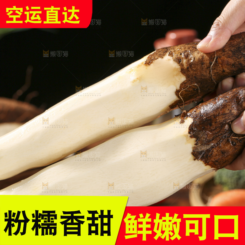 深底上放着灵芝山药