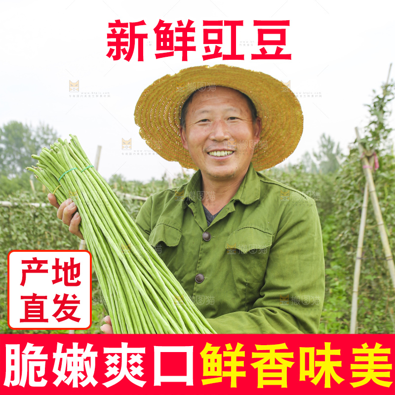 手里拿着新鲜长豆角