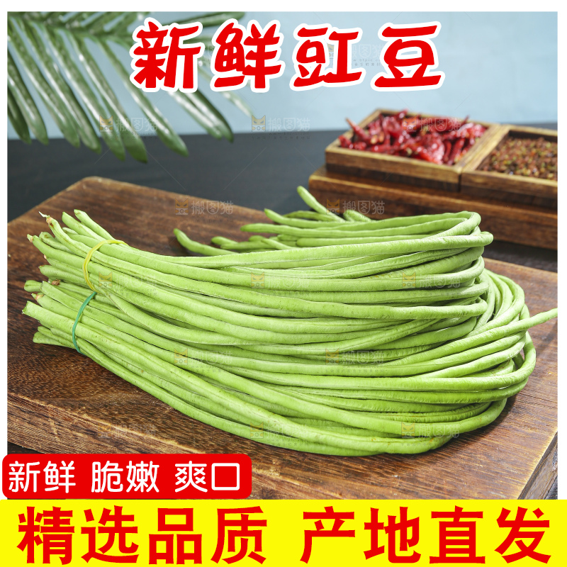 木底上的山东鲜长豆角